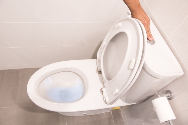 Après cela, vous ne regarderez plus jamais la chasse d'eau de la même façon