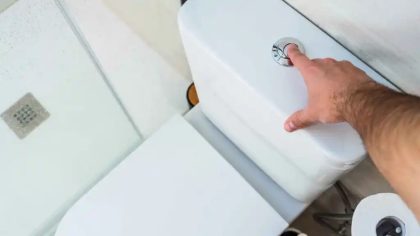 Après cela, vous ne regarderez plus jamais la chasse d'eau de la même façon