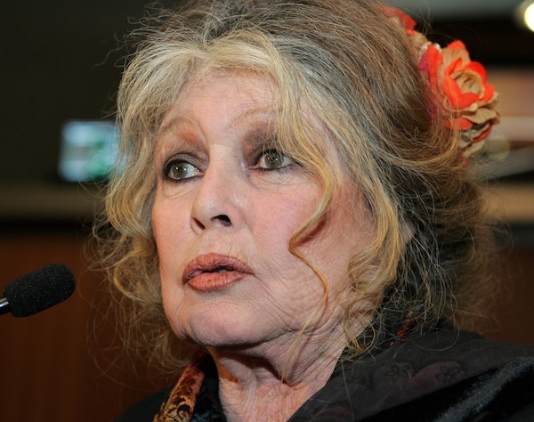 Brigitte Bardot fêtera ses 91 ans cette année : l'actrice évoque sa santé, sa fin de vie et ses combats.