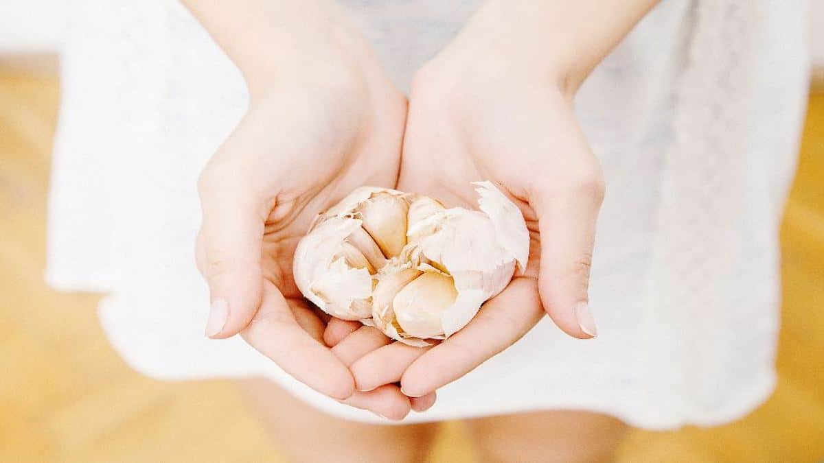 Comment éliminer définitivement les poils du visage, du corps et du maillot avec de l'ail
