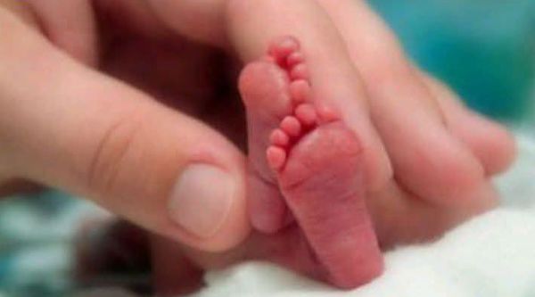 Le plus petit bébé prématuré du monde, pesant 245 grammes, survit