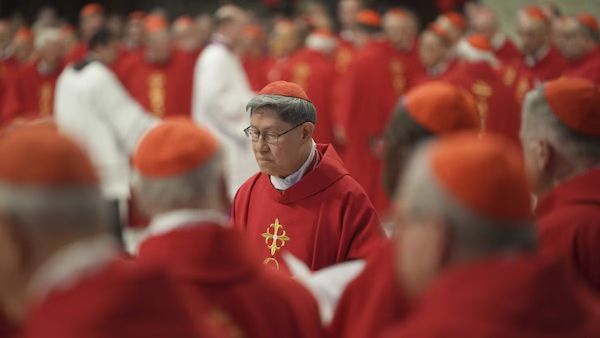 Nouveau pape, désormais favori : le nom fort après le pape François