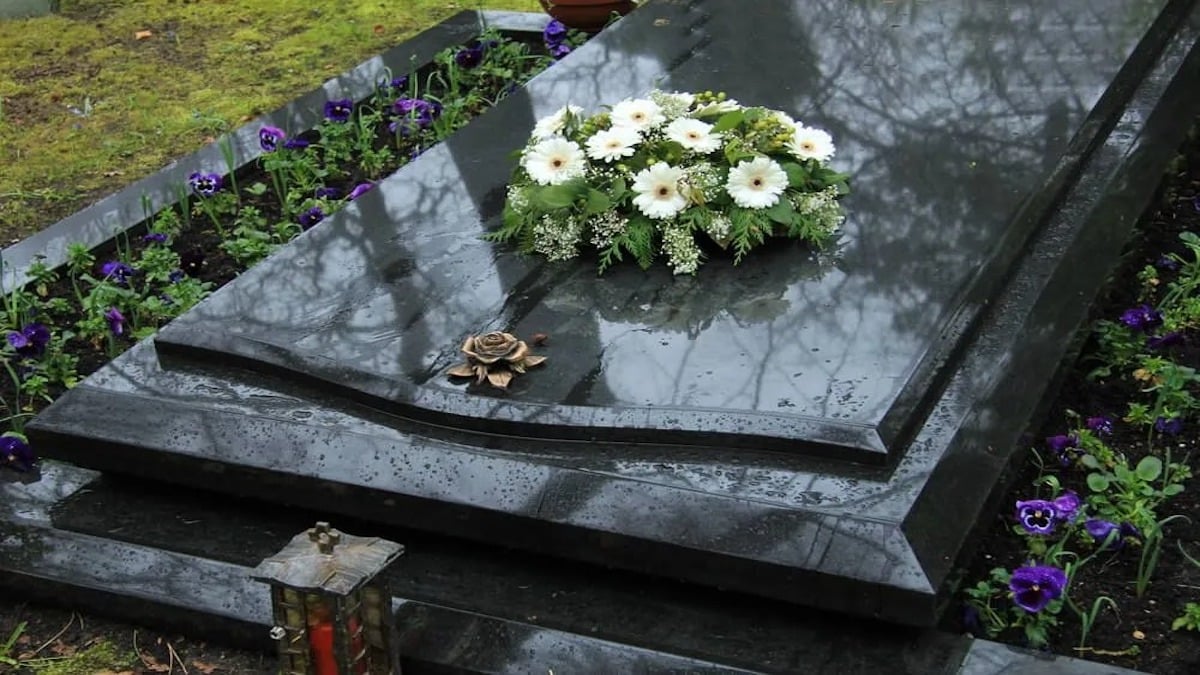 Un chien est resté jour et nuit près de la tombe de son maître, jusqu'à ce que quelque chose de surprenant se produise