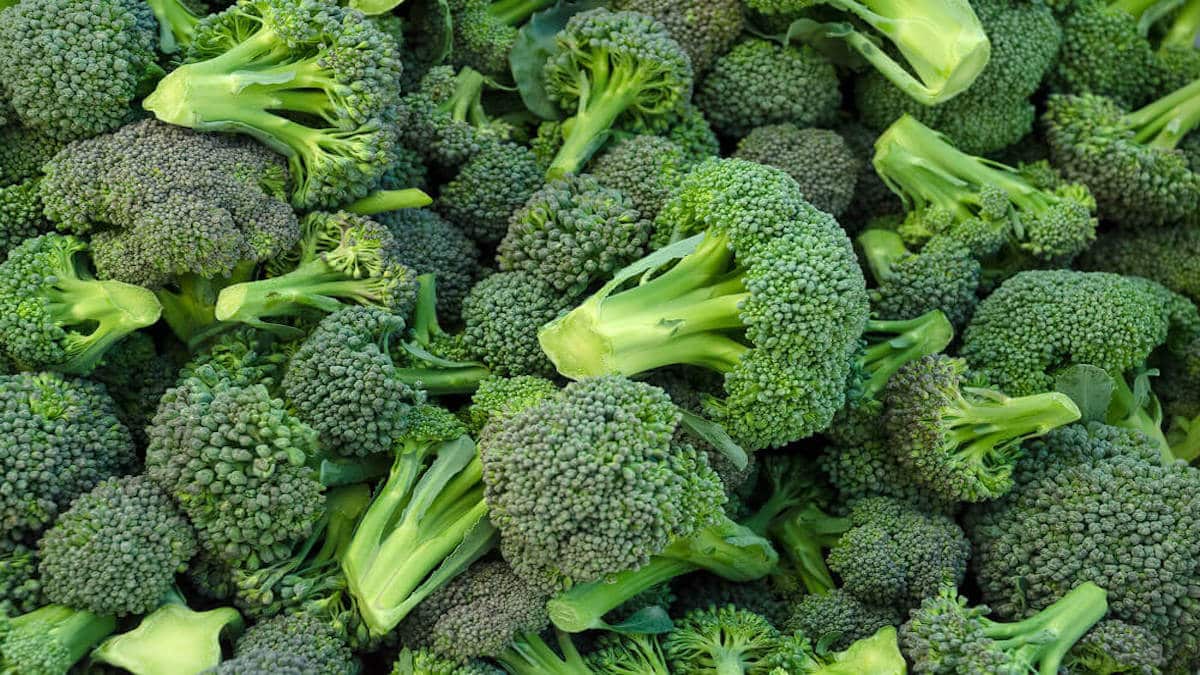 Un client achète un bouquet de brocolis, puis aperçoit un mouvement près de la tige