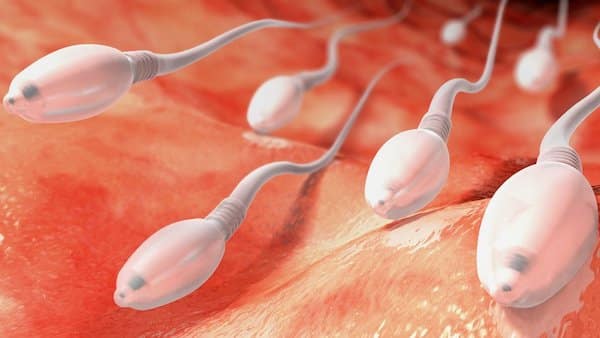 Avaler du sperme : est-ce bon ou mauvais ? Réponse d'un expert