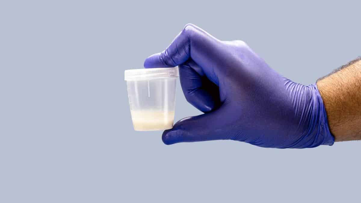 Avaler du sperme : est-ce bon ou mauvais ? Réponse d'un expert