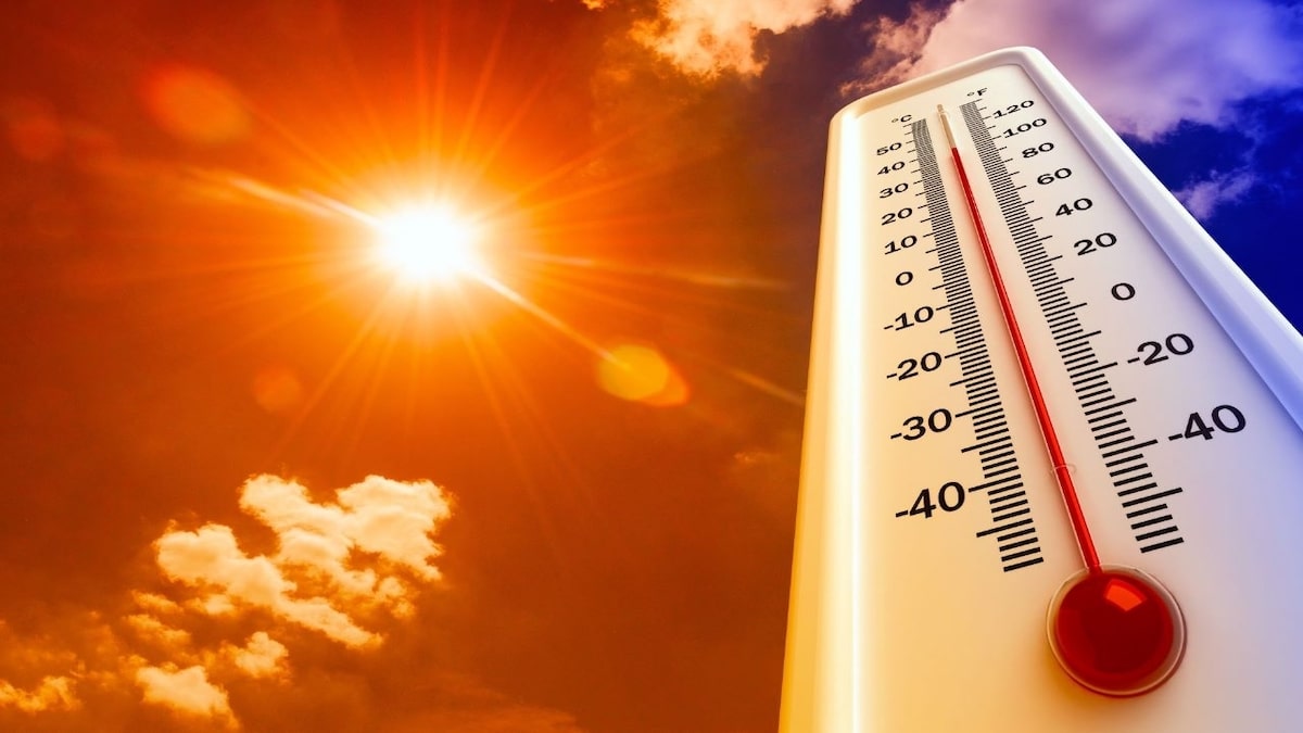 Canicule : 53 départements sous vigilance orange dès dimanche