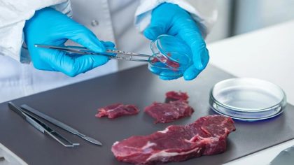 Intoxications alimentaires : quelles sont les précautions pour prévenir la contamination par la bactérie E. coli ?