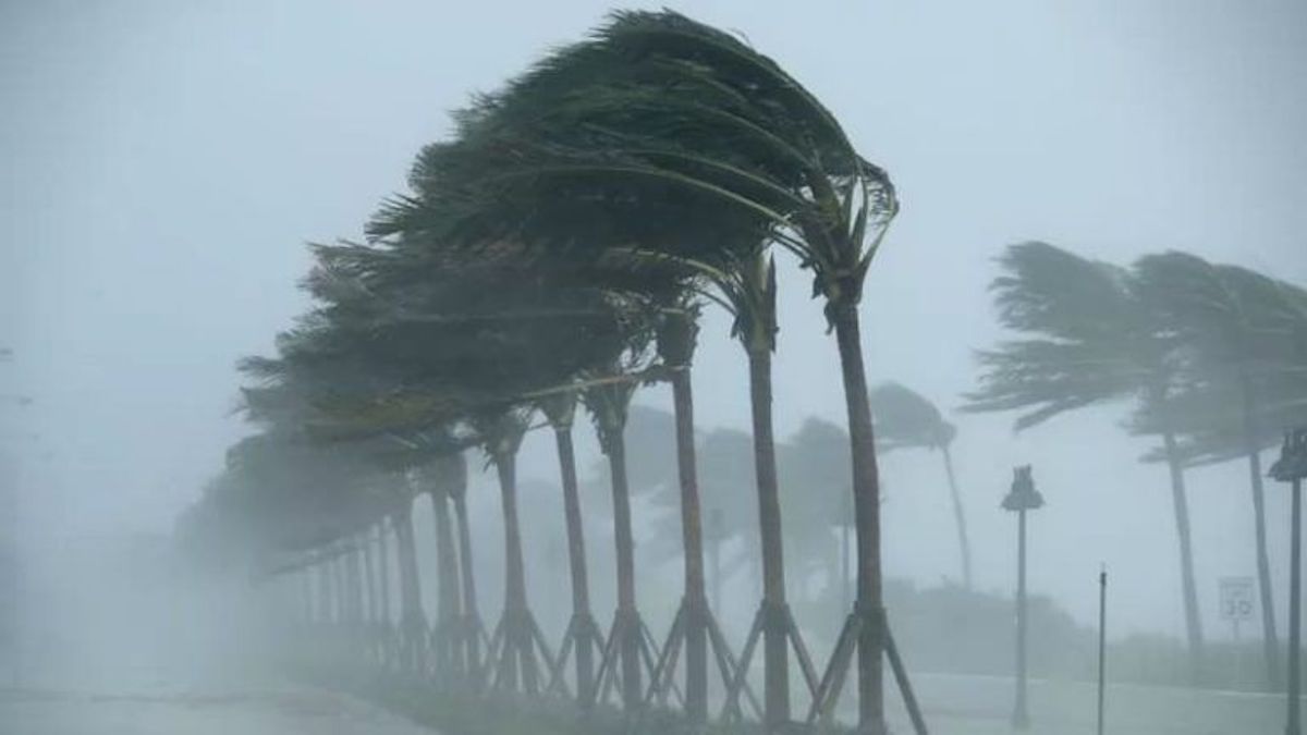 La trajectoire d'Erick : comment il s'est dissipé d'un ouragan à une basse pression résiduelle