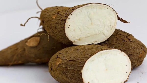 Manioc : bienfaits, toxicité et comment le préparer
