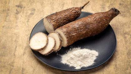 Manioc : bienfaits, toxicité et comment le préparer