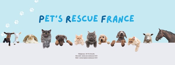 Pet's Rescue France : Association dédiée à la protection animale