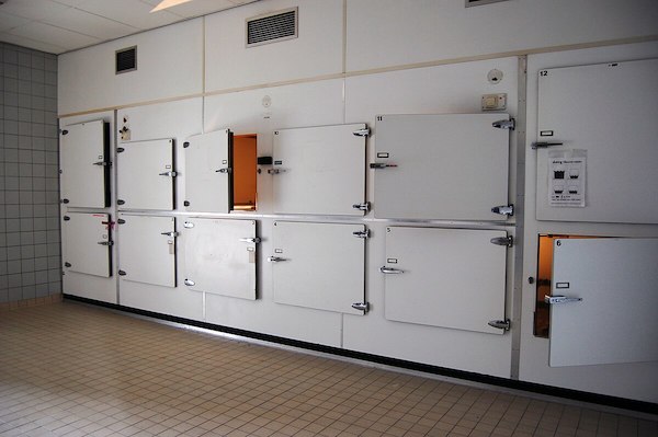 Un médecin élucide un mystère étrange venu de la morgue