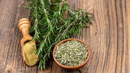 5 bienfaits incroyables du romarin pour la santé que vous ne connaissiez probablement pas