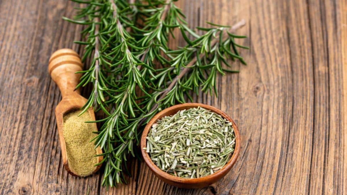 5 bienfaits incroyables du romarin pour la santé que vous ne connaissiez probablement pas