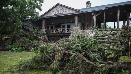 Crue soudaine au Texas : le sauvetage miraculeux d’une fillette par un chien héros