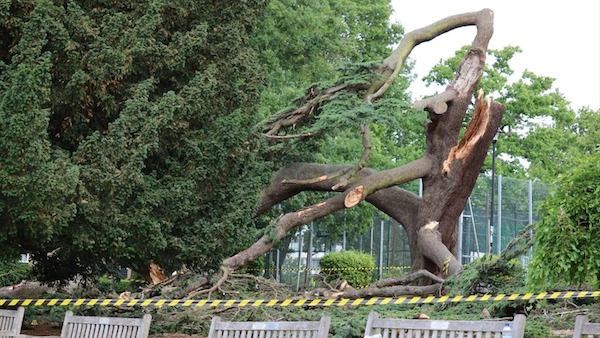 Drame à Southend-on-Sea : l’émotion immense après la mort de Leonna, 7 ans