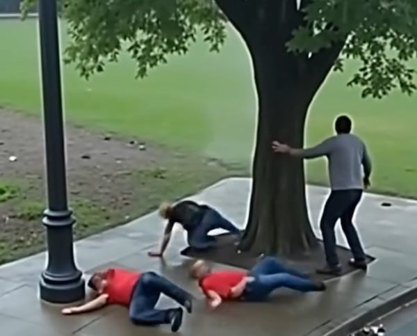 Foudroyés dans un parc : un rappel brutal des dangers d’orage