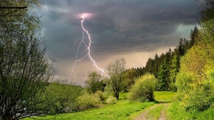 Foudroyés dans un parc : un rappel brutal des dangers d’orage