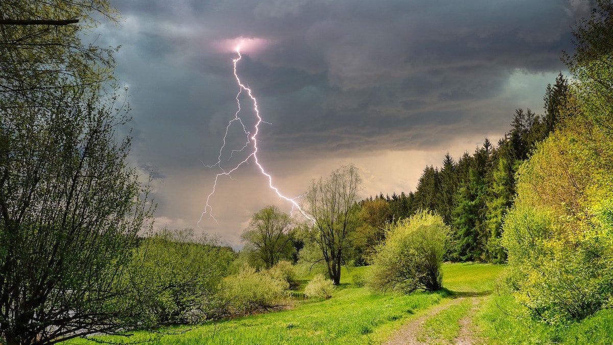 Foudroyés dans un parc : un rappel brutal des dangers d’orage