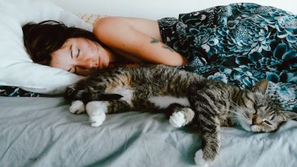 La maladie la plus dangereuse liée au fait de dormir avec des chats