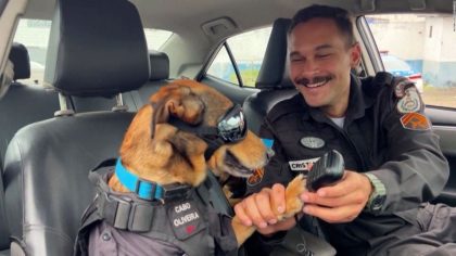 Le lien unique entre un chien et son maître sauve une vie