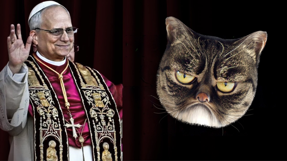 Le mystérieux avertissement du pape Léon XIV sur les chats