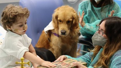 L’émouvant réveil d’un enfant après l’adieu de son chien fidèle