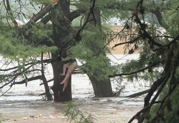 L'une des filles disparues du camp a été retrouvée à 19 kilomètres en aval de la rivière au Texas
