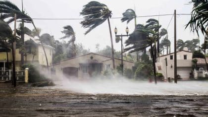 Ouragan Flossie : que va-t-il se passer, sa trajectoire et où il se dirige