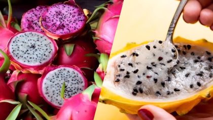 Pitahaya : quelles sont les propriétés médicinales du fruit du dragon ?