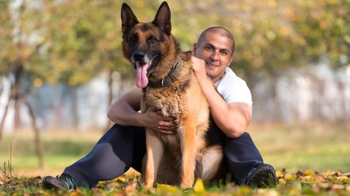 Quand le courage d’un chien sauve la vie de son maître : une histoire de loyauté sans limite
