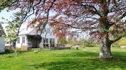 Quand un arbre tombe, une histoire familiale renaît