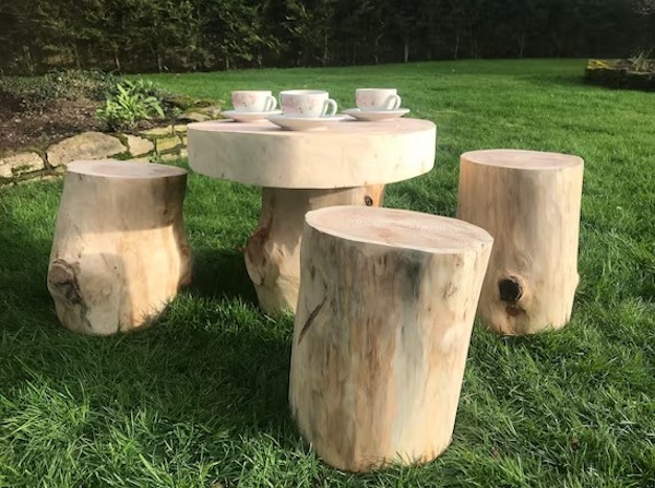Quand un arbre tombe, une histoire familiale renaît