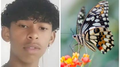 Un adolescent de 14 ans décède après s'être injecté un papillon dans le cadre d'un défi viral sur Internet