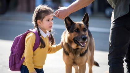 Un chien héros sauve un enfant d’un enlèvement en plein parc