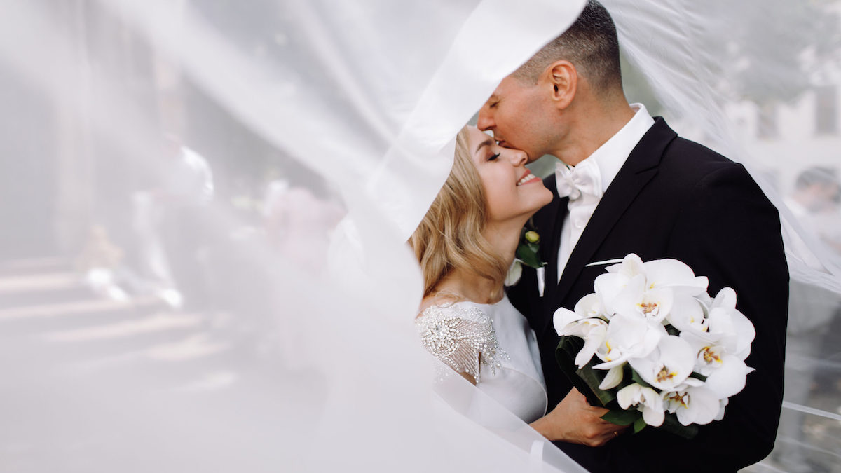Un chien policier interrompt un mariage : la trahison révélée en plein jour