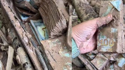 Un homme a trouvé une mallette contenant des milliers de billets et ce qu'il a fait ensuite a laissé tout le monde sans voix