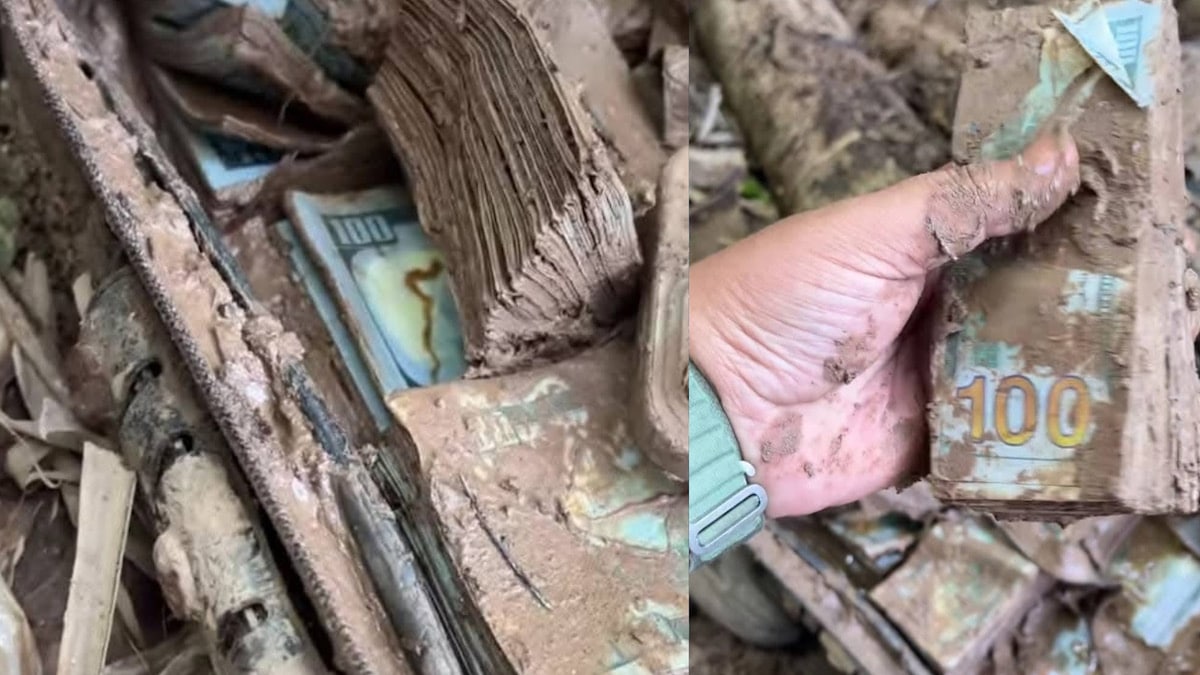 Un homme a trouvé une mallette contenant des milliers de billets et ce qu'il a fait ensuite a laissé tout le monde sans voix