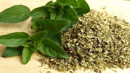 5 bienfaits de consommer un peu d'origan par jour
