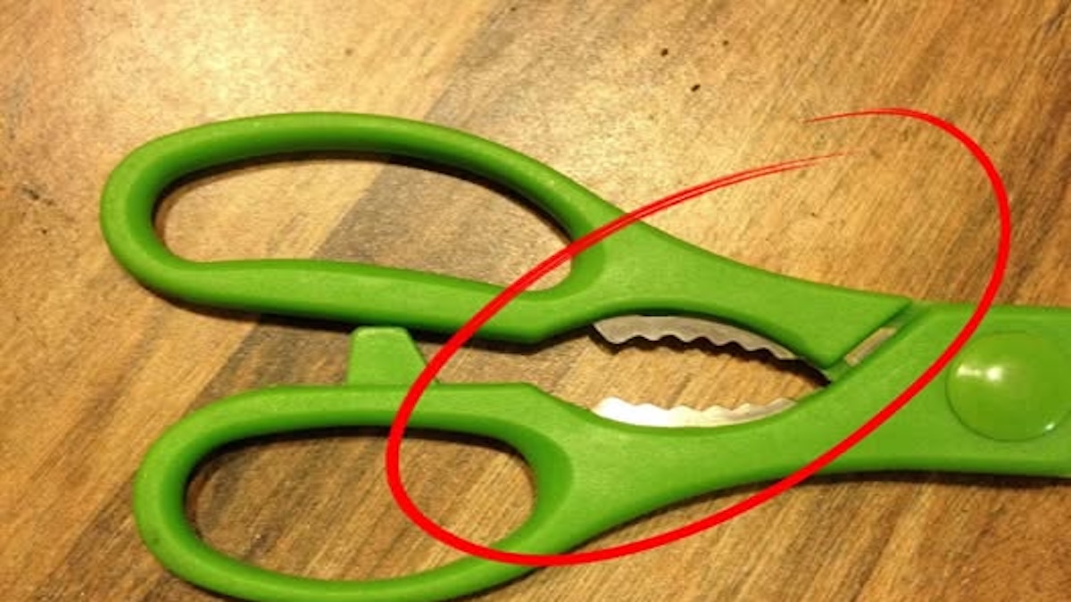 À quoi servent les dents métalliques entre les lames des ciseaux de cuisine ?