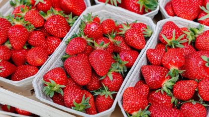 Alerte alimentaire : les fraises de ce pays sont saturées de pesticides et à éviter absolument