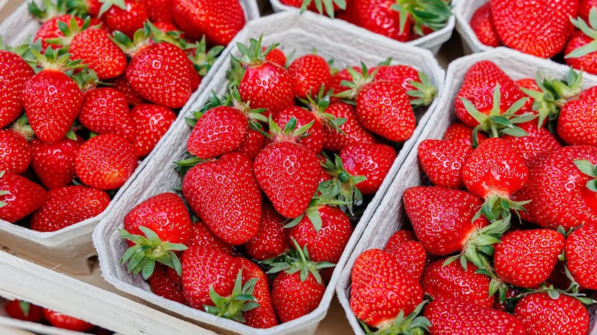 Alerte alimentaire : les fraises de ce pays sont saturées de pesticides et à éviter absolument