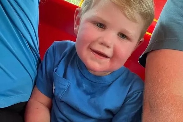 Beckham Reed, âgé de 2 ans, lutte pour sa vie à l'hôpital après avoir été piqué plus de 150 fois par des guêpes jaunes, une attaque qui a laissé l'enfant inconscient et a nécessité une assistance respiratoire.