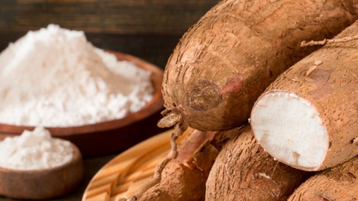 Manioc : tout savoir sur ce tubercule