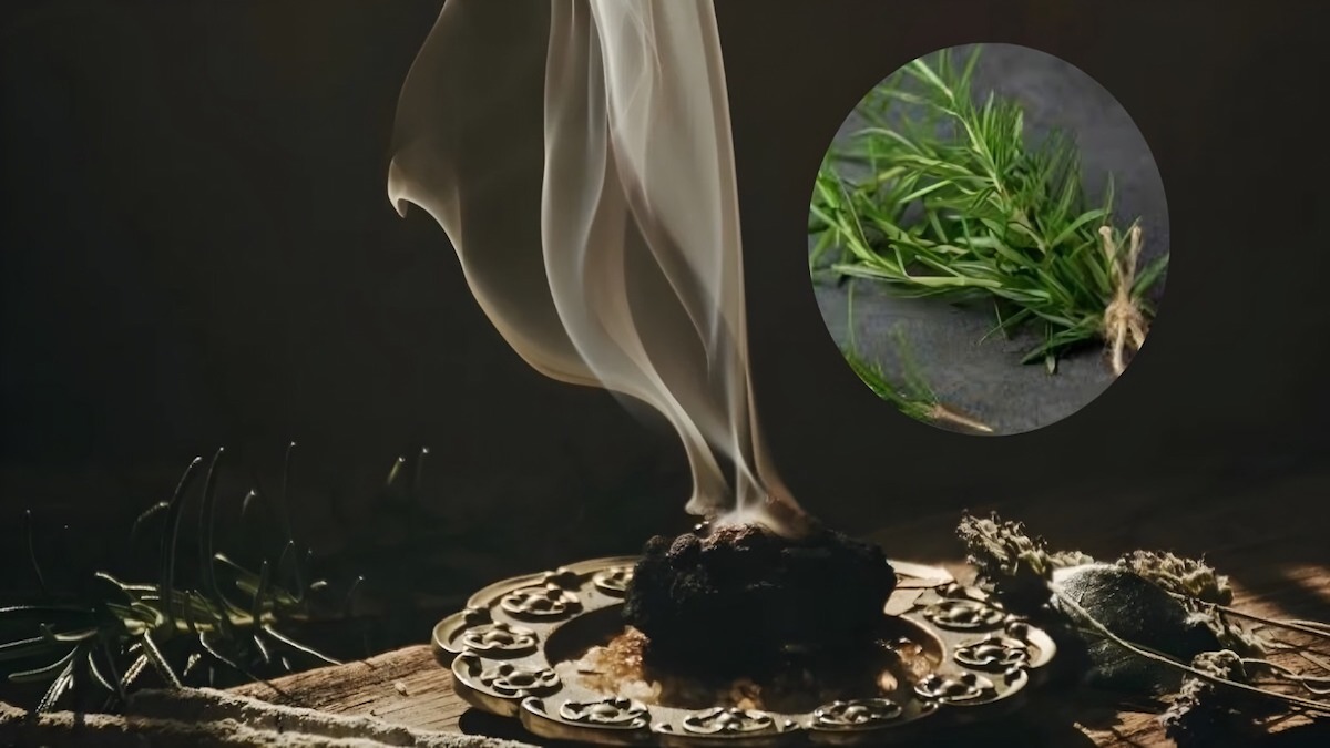 Brûler du romarin chez soi : un geste simple pour purifier l’air et apaiser l’esprit