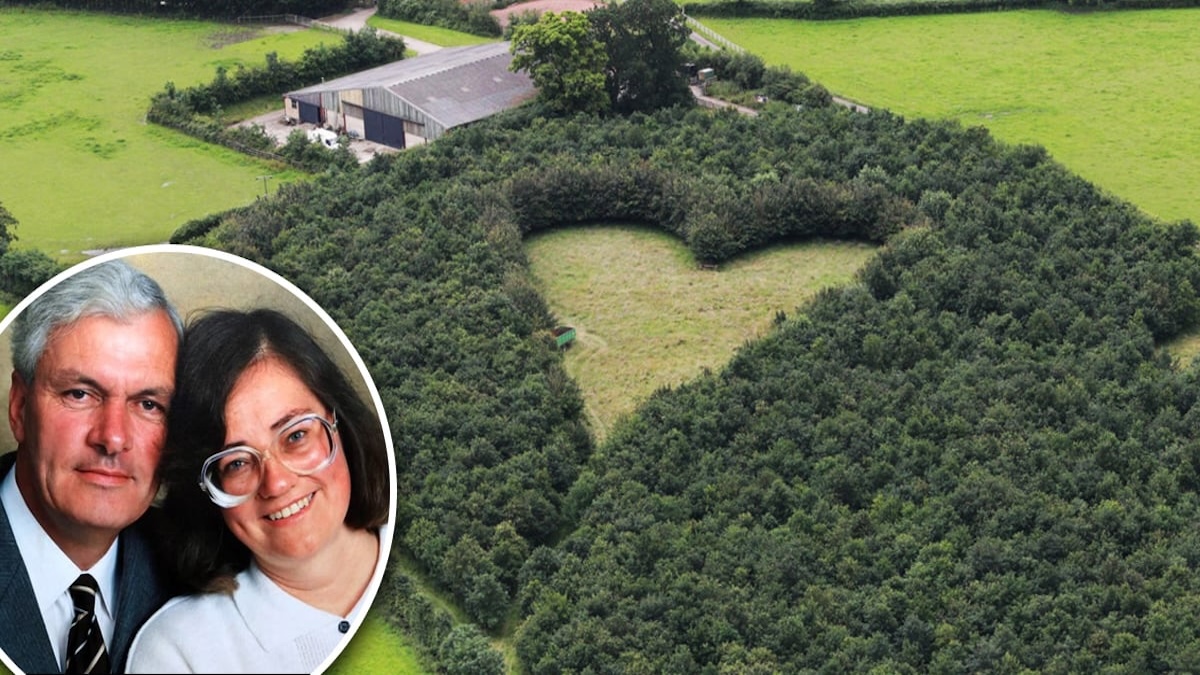 Un homme plante 6 000 arbres pour sa femme : 15 ans plus tard, la vérité choque le monde