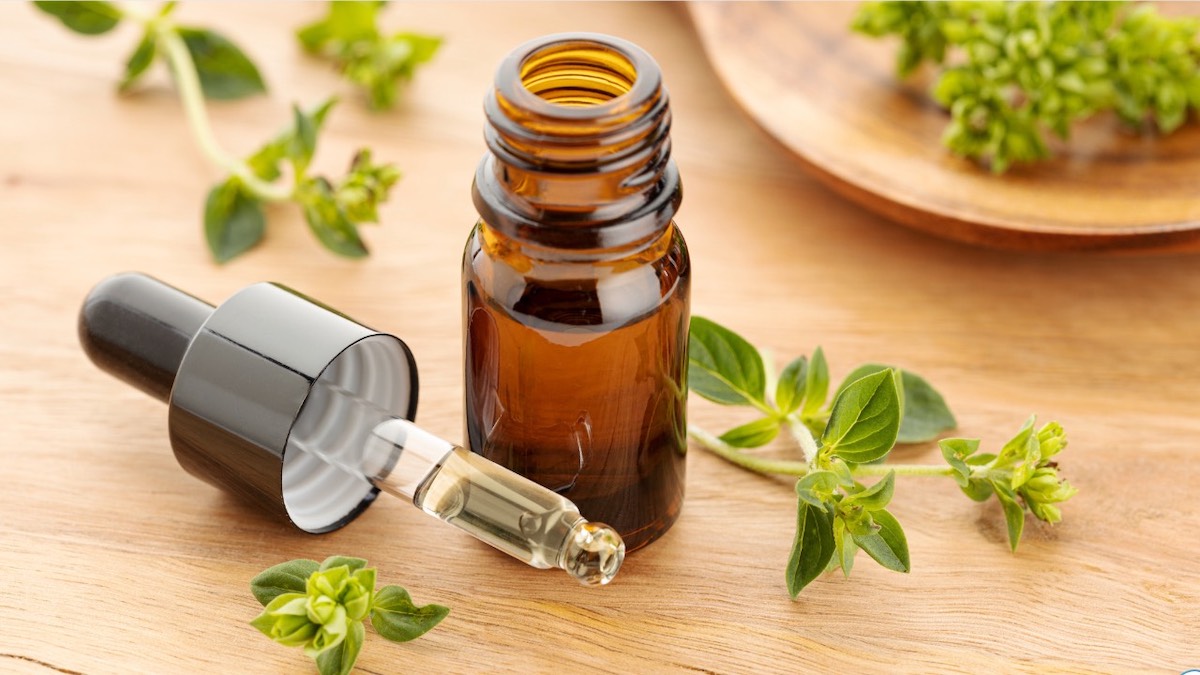 Comment prendre de l’origan pour soulager les maux de tête ?
