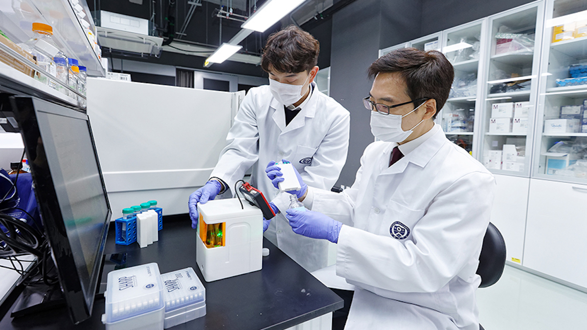Covid-19 : quand la théorie de la fuite de laboratoire s’impose dans le débat
