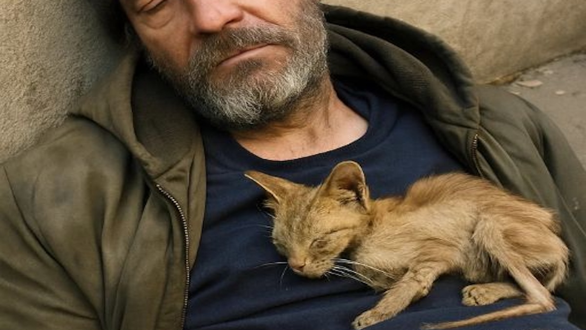 Hazel, la chatte qui a changé un destin dans la rue